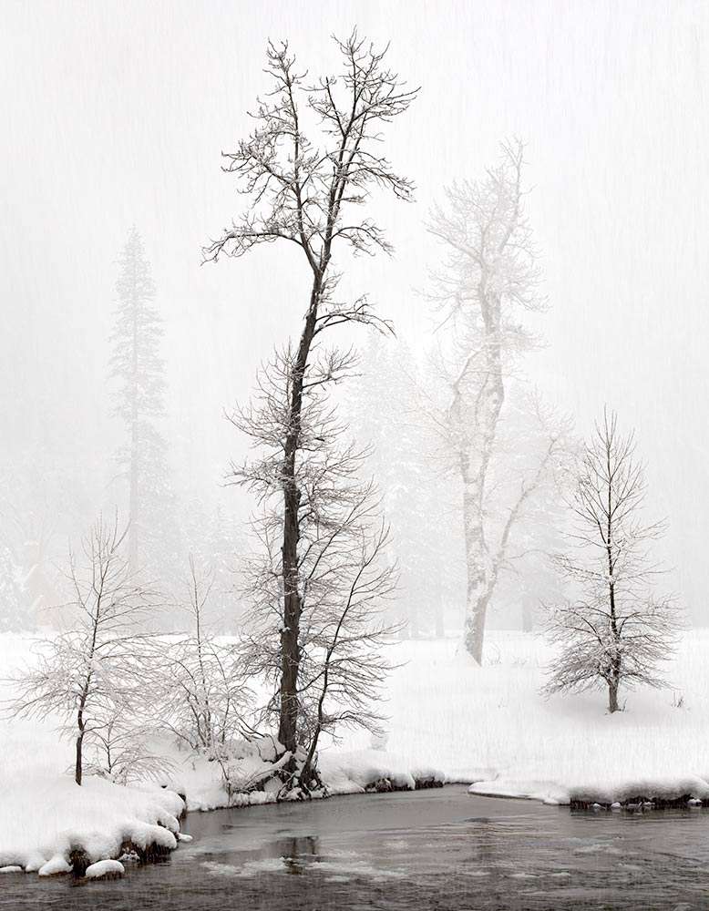 Snowstorm, Cottonwoods along the Merced River, Yosemite by Charles Cramer Snowstorm, Cottonwoods along the Merced River, Yosemite by Charles Cramer