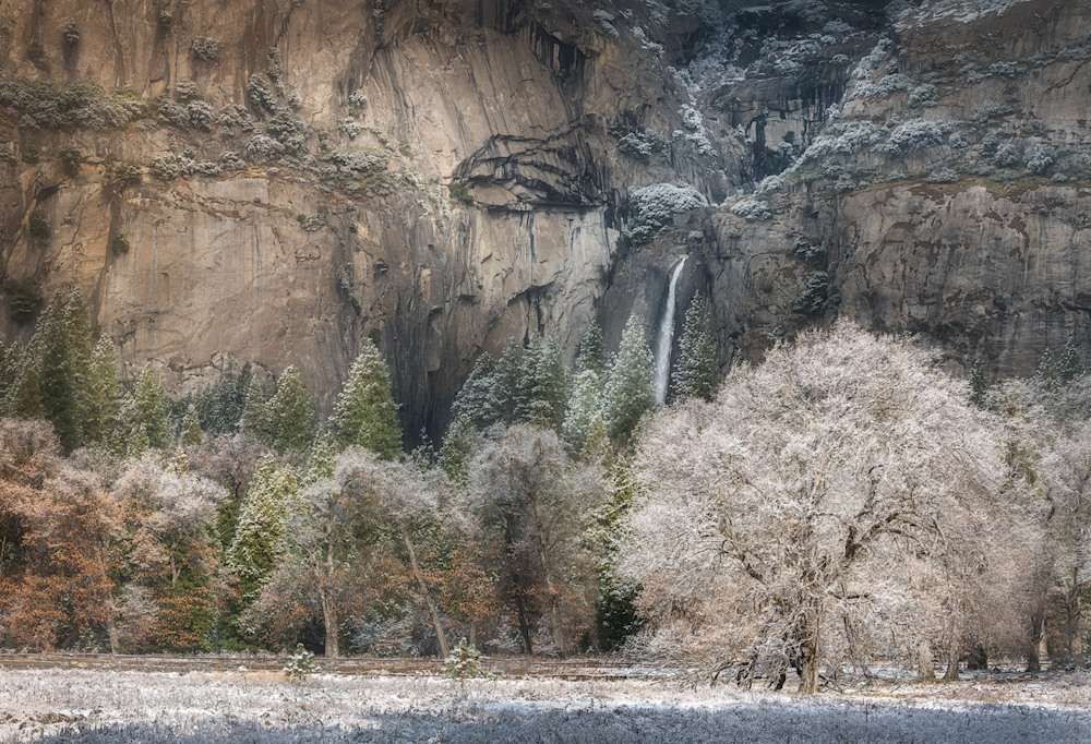 The Heart of Yosemite by CharlotteGibb The Heart of Yosemite by Charlotte Gibb