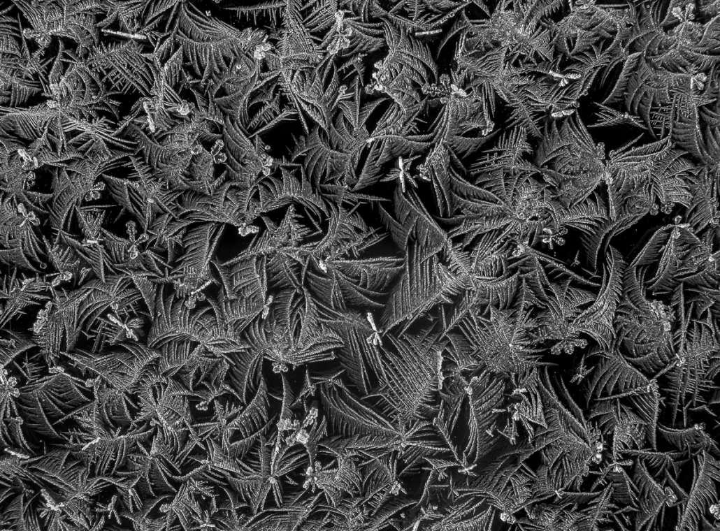 Frost on Glass by Keith Walklet Frost on Glass by Keith Walklet